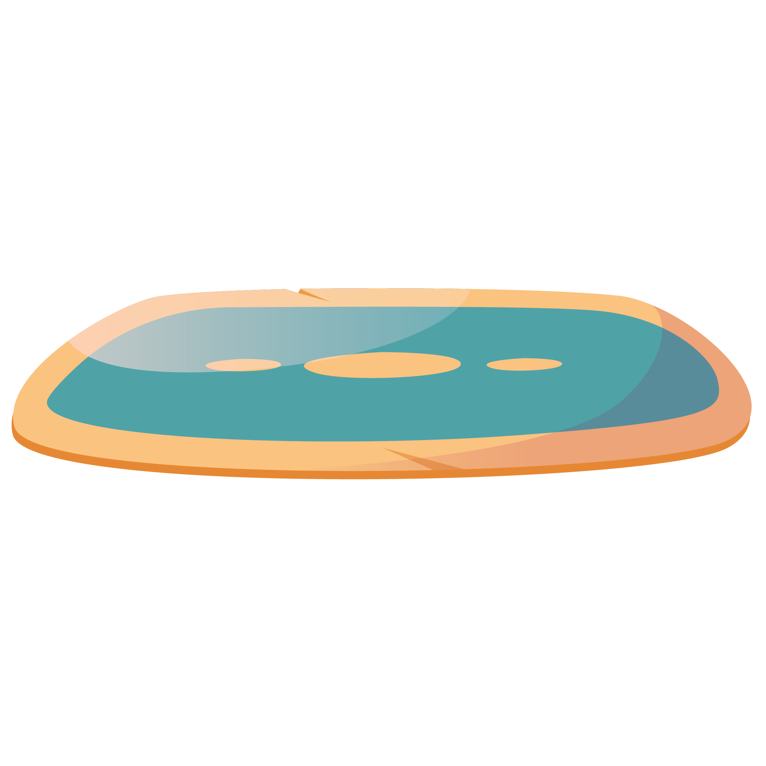 heat mat