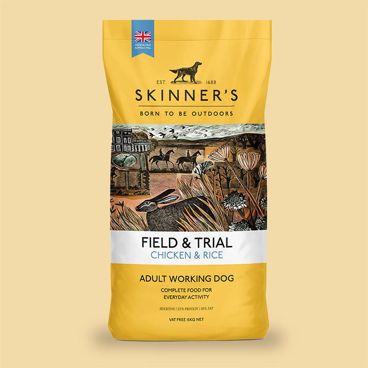 dog kennels4